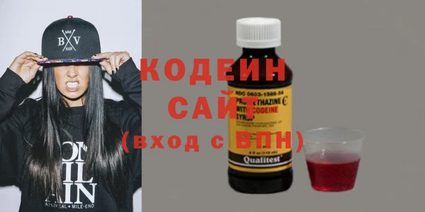 хмурый Абаза