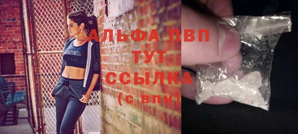 хмурый Абаза